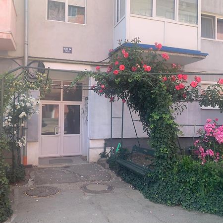 Cazare Medias, Apartament Modern Luaran gambar