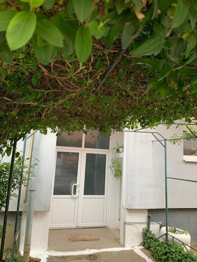 Cazare Medias, Apartament Modern Luaran gambar